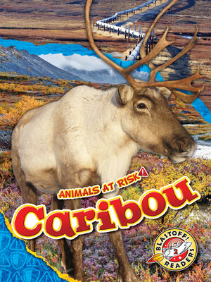 cover image of Caribou